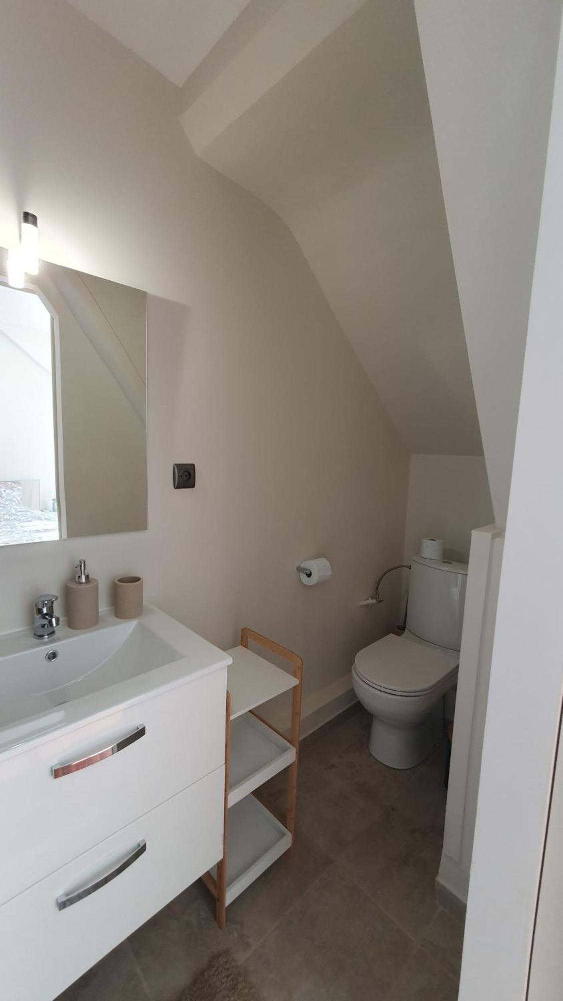 Demeure D'Exception Sur Angers Bed & Breakfast エクステリア 写真